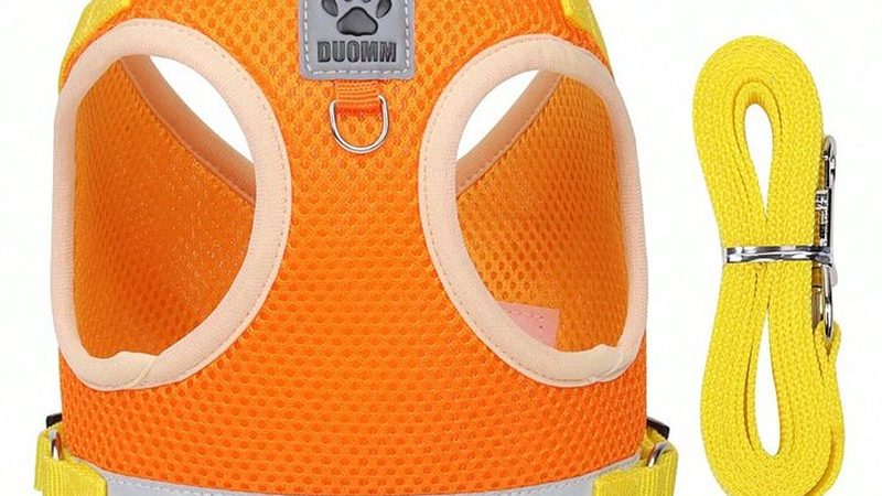 中央空调冷水机组与风冷机组：性能对比与适用场景分析