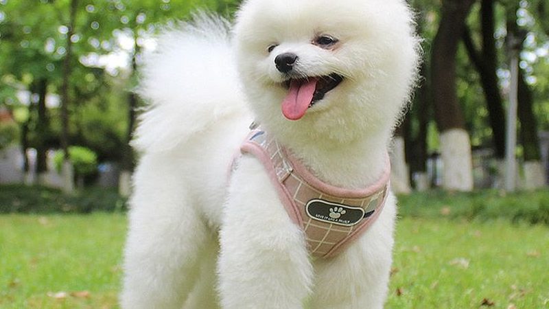 高温制冷机组：揭秘其与普通机组的五大差异**